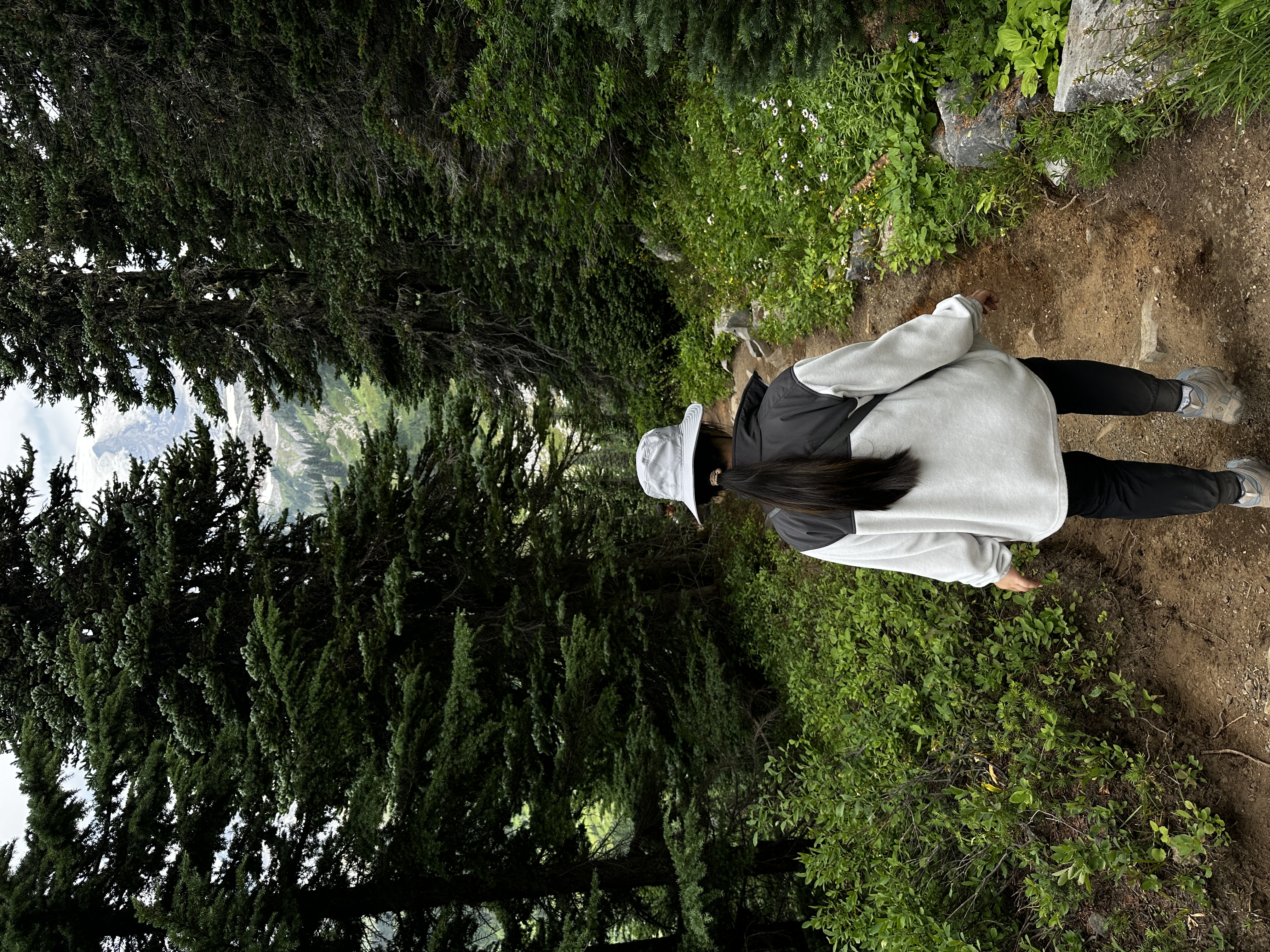 Mount Rainier